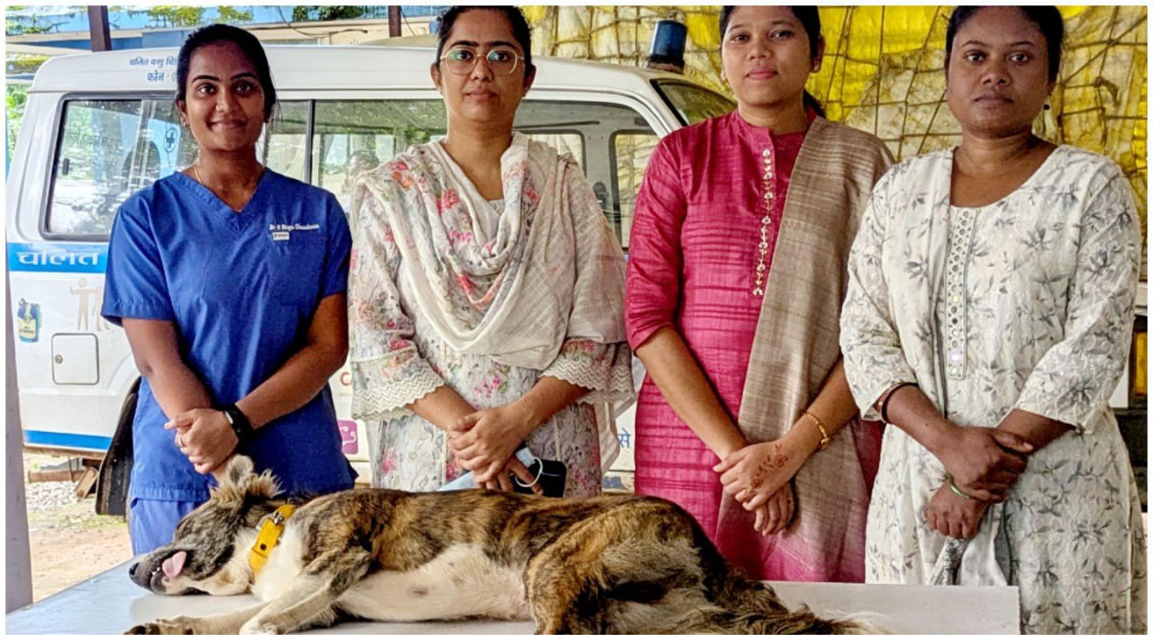 IMG-20250923-WA0032 (1)