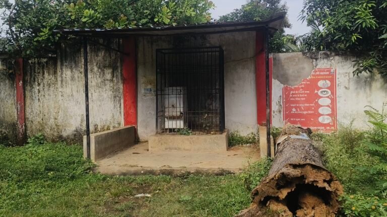 IMG_20250923_152011 (1)